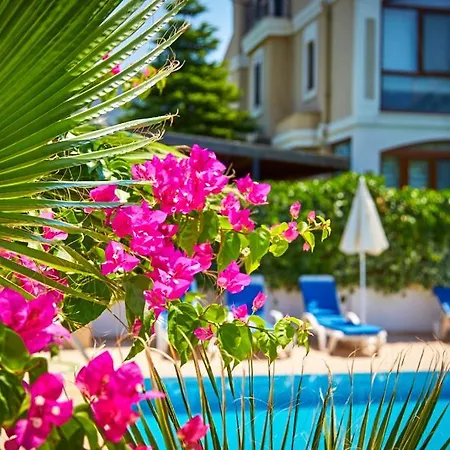 Two Seas Bougainvillaea *