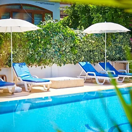 Willa Two Seas Bougainvillaea